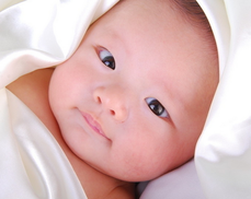 1448524767515386.png Image 001.png