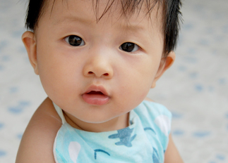 1448943135498273.png Image 003.png