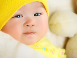 1449038880295957.png Image 002.png