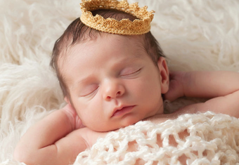 1449047484948105.png Image 002.png