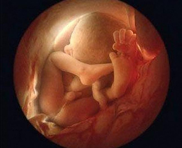 1449126538738009.jpeg 1.jpeg