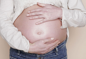 1449129091392729.png Image 001.png