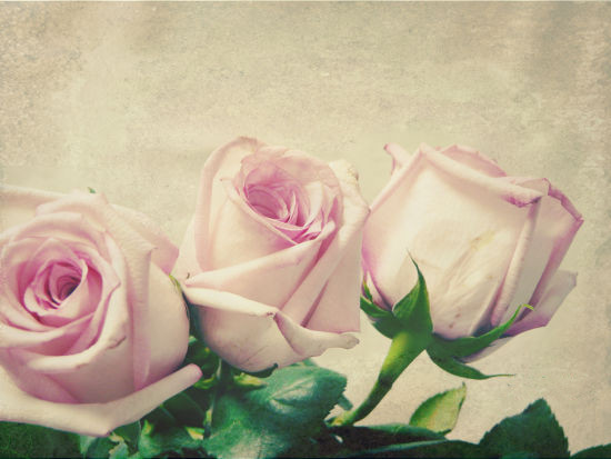 1450055708530331.jpg U3484P18DT20110929133530.jpg