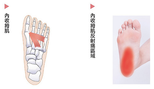 1450081812542337.jpg 23646741905_10c93d061a.jpg