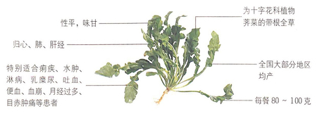 薺萊具有止血健胃,降低血壓之功效作用 薺萊具有止血健胃,降低血壓之功效作用