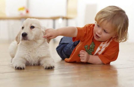 1450745641941129.jpg 1.jpg