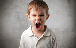 1451476207818431.png Image 001.png