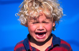 1451868568721065.png Image 001.png