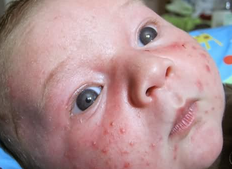 1451890484174696.png Image 001.png