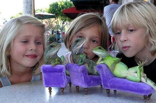 父母如何正確引導(dǎo)孩子的好奇心 父母如何正確引導(dǎo)孩子的好奇心