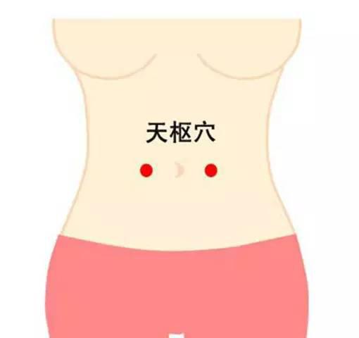 天樞穴 天樞穴