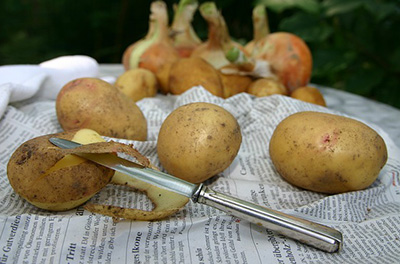 什么食物不能放冰箱冷藏室里 什么食物不能放冰箱冷藏室里