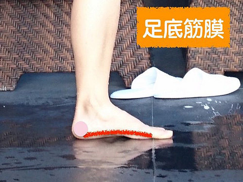 足底筋膜炎可以按摩嗎 小腿腳底按摩法 足底筋膜炎可以按摩嗎 小腿腳底按摩法