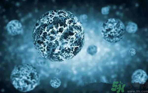 寨卡病毒并不可怕 泰州產(chǎn)出寨卡病毒快速檢測劑 寨卡病毒并不可怕 泰州產(chǎn)出寨卡病毒快速檢測劑