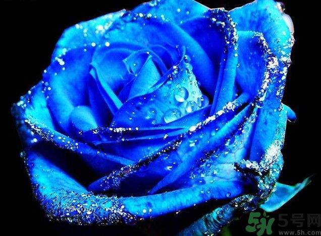 懷孕了能養(yǎng)花嗎？養(yǎng)什么花對(duì)胎兒好？