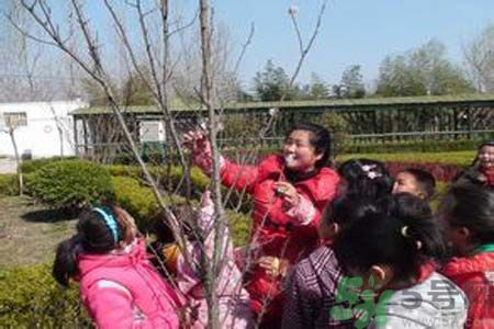 如何提高植樹(shù)的成活率？植樹(shù)節(jié)種樹(shù)要注意哪些細(xì)節(jié)？