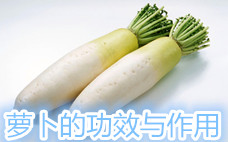綠蘿卜有點苦味能吃嗎 綠蘿卜有點苦味怎么回事