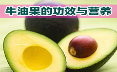 牛油果的熱量是多少 牛油果怎么儲(chǔ)藏才能更久
