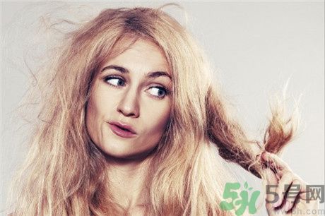 頭發(fā)分叉怎么辦？頭發(fā)油怎么辦？