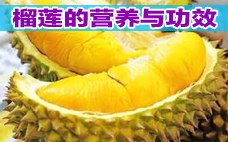 榴蓮披薩怎么做 榴蓮披薩熱量高嗎