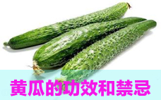 黃瓜有苦的味道能不能吃 黃瓜有苦味是怎么回事