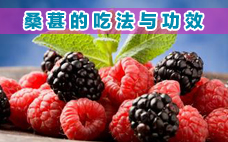 桑葚酒男人喝了壯陽嗎 桑葚酒能提高性功能嗎