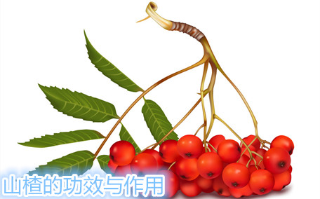 山楂水會(huì)胖嗎 山楂水有什么作用