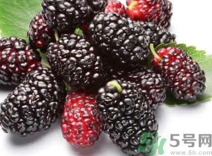 黑桑葚和白桑葚哪個(gè)好?黑桑葚和白桑葚的區(qū)別 黑桑葚和白桑葚哪個(gè)好?黑桑葚和白桑葚的區(qū)別