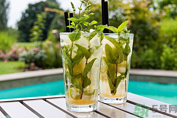 薄荷曬干泡茶有什么好處？薄荷曬干泡水的功效