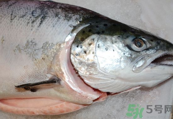 三文魚(yú)可以和海帶一起吃嗎?三文魚(yú)能和海帶同吃嗎? 三文魚(yú)可以和海帶一起吃嗎?三文魚(yú)能和海帶同吃嗎?