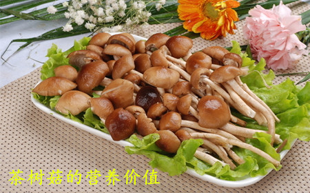 什么是茶樹(shù)菇呢 孕婦可以吃茶樹(shù)菇嗎