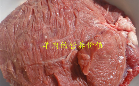 羊肉湯里能放板栗嗎 板栗羊肉湯怎么做
