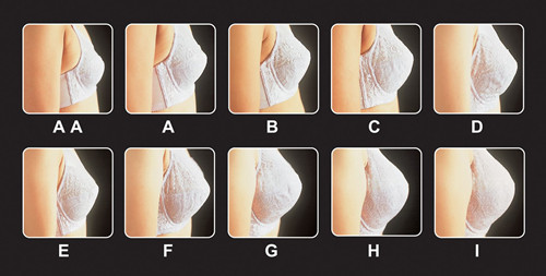 d罩杯摸著什么感覺(jué)?d罩杯的手感圖 d罩杯摸著什么感覺(jué)?d罩杯的手感圖