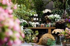 野獸派是什么牌子？野獸派怎么樣？