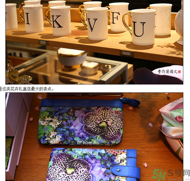 野獸派是什么牌子？野獸派怎么樣？