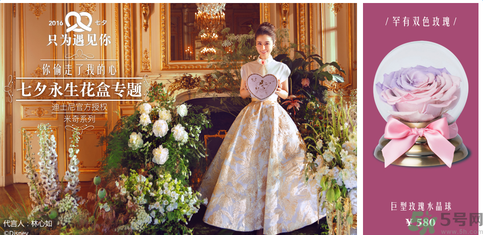 野獸派的花多少錢？野獸派的花哪里買？