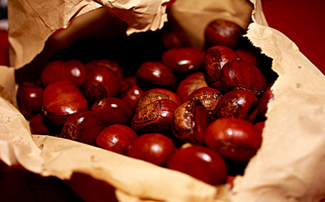 生栗子長(zhǎng)毛了怎么辦 生栗子放冷藏還是冷凍