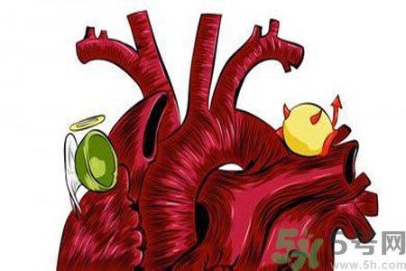 人體中的膽固醇分好壞嗎？如何區(qū)分膽固醇的好壞？