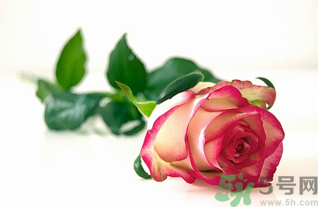 口水強(qiáng)迫癥能好嗎?口水強(qiáng)迫癥如何治療? 口水強(qiáng)迫癥能好嗎?口水強(qiáng)迫癥如何治療?