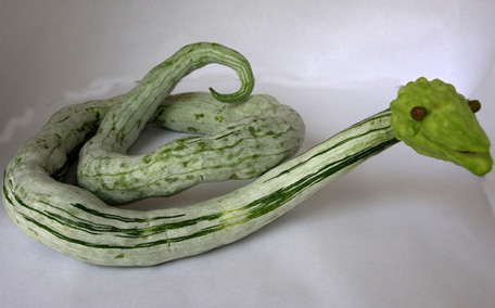 黃瓜汁能天天敷臉嗎？黃瓜汁敷臉有什么好處？