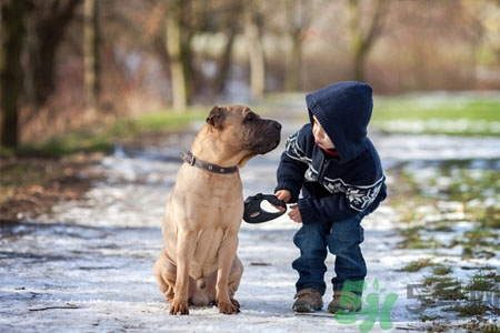 狗狗發(fā)燒了怎么辦？狗狗發(fā)燒的癥狀有哪些？