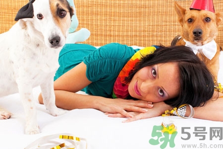 狗狗發(fā)燒了怎么辦？狗狗發(fā)燒的癥狀有哪些？