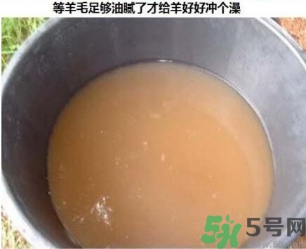 澳洲綿羊油真假 澳洲綿羊油australian creams真假鑒別 澳洲綿羊油真假 澳洲綿羊油australian creams真假鑒別