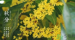 秋分有什么含義?秋分能結婚嗎? 秋分有什么含義?秋分能結婚嗎?