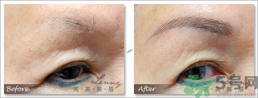 女士眉型圖片大全 女士眉毛大全圖片 女士眉型圖片大全 女士眉毛大全圖片