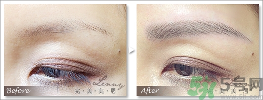 女士眉型圖片大全 女士眉毛大全圖片 女士眉型圖片大全 女士眉毛大全圖片