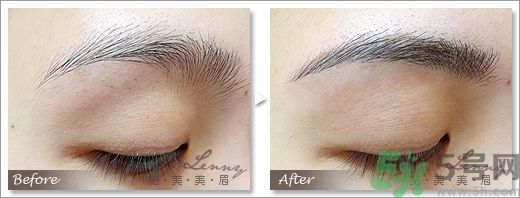 女士眉型圖片大全 女士眉毛大全圖片 女士眉型圖片大全 女士眉毛大全圖片