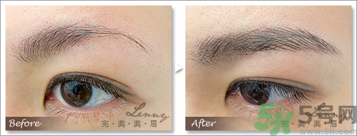 女士眉型圖片大全 女士眉毛大全圖片 女士眉型圖片大全 女士眉毛大全圖片