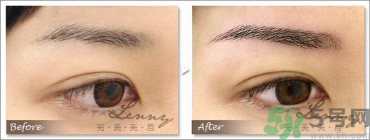 女士眉型圖片大全 女士眉毛大全圖片 女士眉型圖片大全 女士眉毛大全圖片