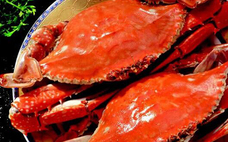 梭子蟹如何新鮮存放 梭子蟹放冷凍還能吃嗎